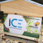 des abeilles chez ICE Water Management