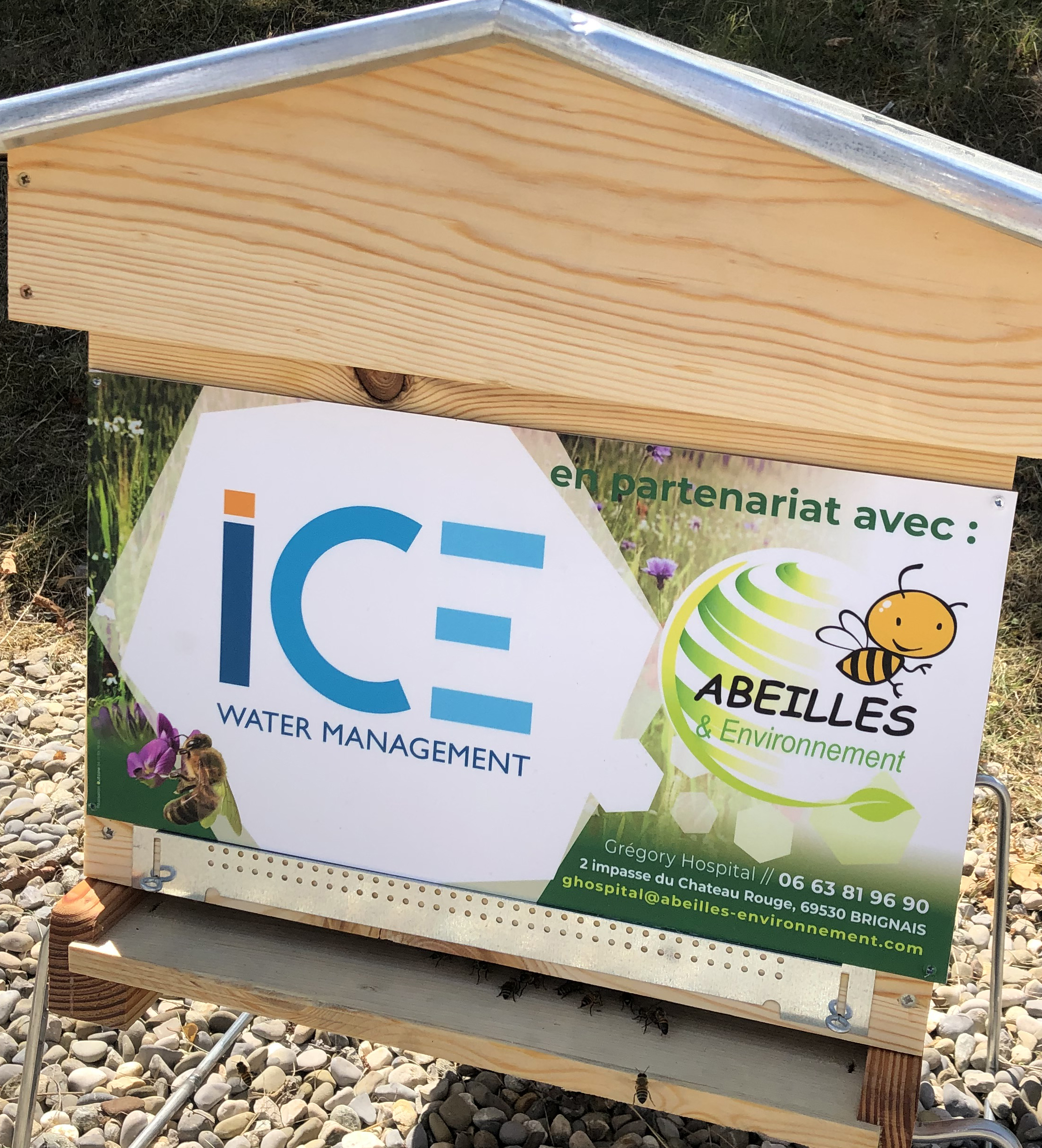 des abeilles chez ICE Water Management