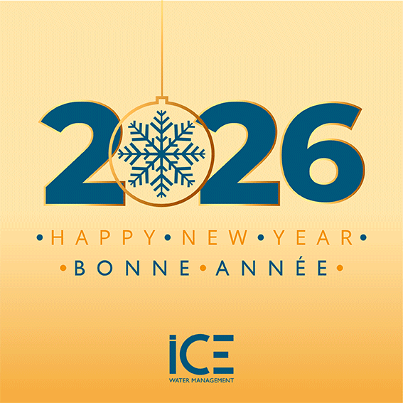 bonne année 2026 -meilleurs voeux ICE WM _ Happy new year 2026